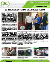 pinauguranFERIASpinabete