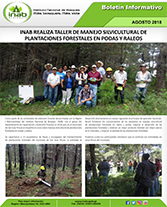 BolSilvicultura