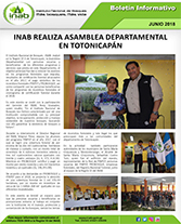 BolasambleaTOTO
