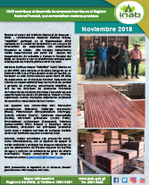 pBOLETIN MADERAS PRECIOSAS