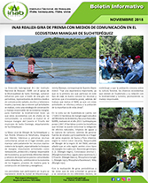 pRegion IX Boletin Noviembre