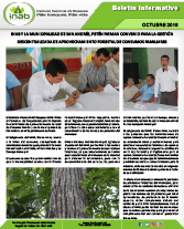 pPeten San andres 2