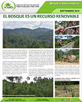 pelbosqueesunrecursorenovable