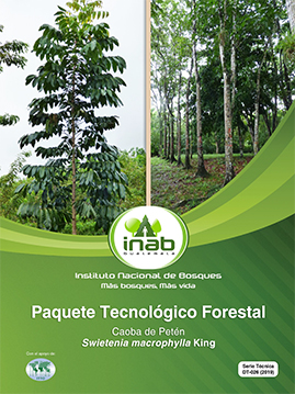 PTF CAOBA DE PETEN